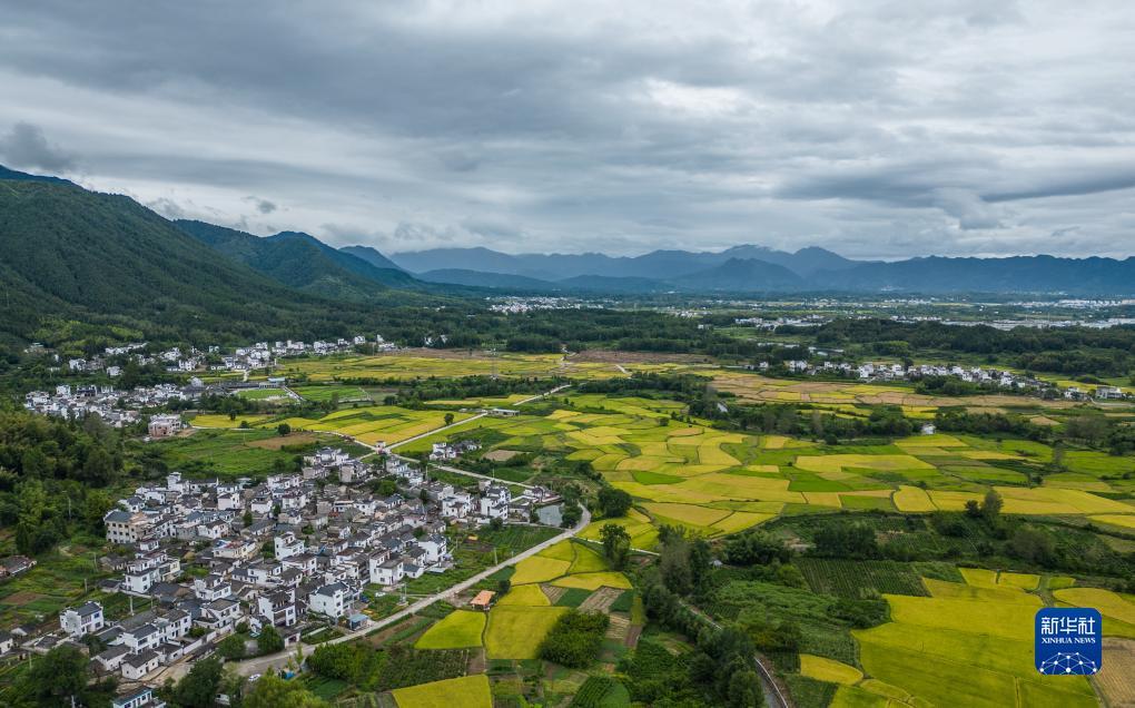 打鱼注册送分28元